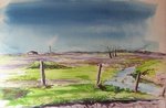 Gulf Coast Plain 30 X 22.JPG