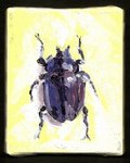 Scarab 4 X 5.jpg